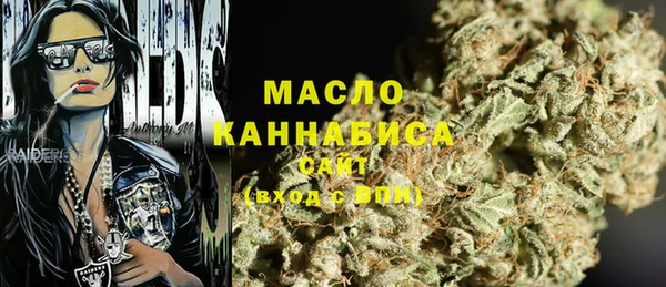 дмт Алексин