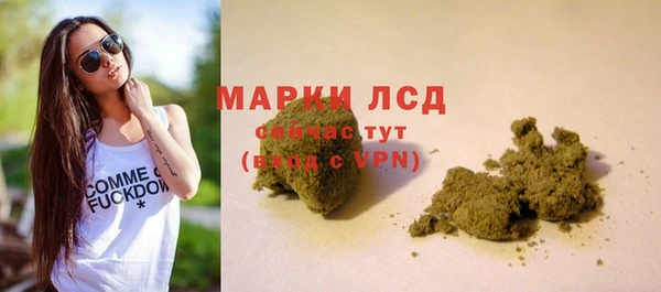 индика Алексеевка