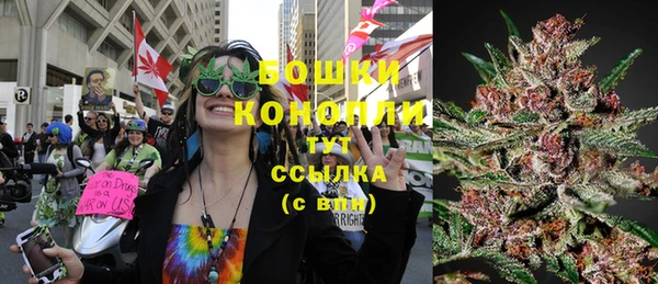 дмт Пестово