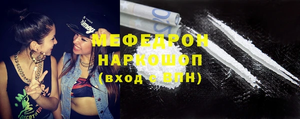индика Алексеевка