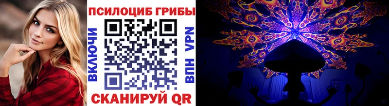 Псилоцибиновые грибы Cubensis Качканар