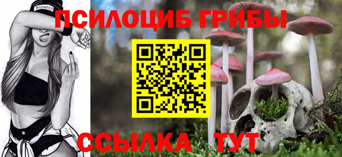 Качканар  Псилоцибиновые грибы ЛСД  Вход с VPN  Галлюциногенные грибы MAGIC MUSHROOMS 