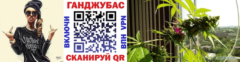 Бошки Шишки план  мега ТОР  Качканар 