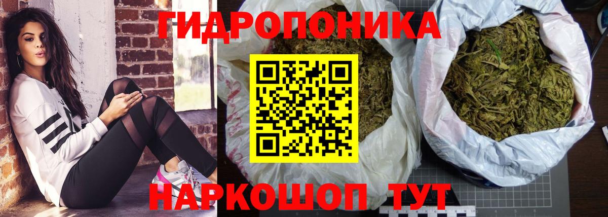 Канабис THC 21%  Бошки марихуана план  Качканар  Вход с VPN  Каннабис Bruce Banner 